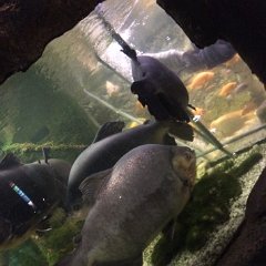 IMG 055